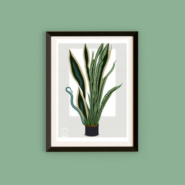 Minimalistic Snake Plant print. Adorn your walls with plants that won't die - perfect for the plant parents and plant averse alike.
